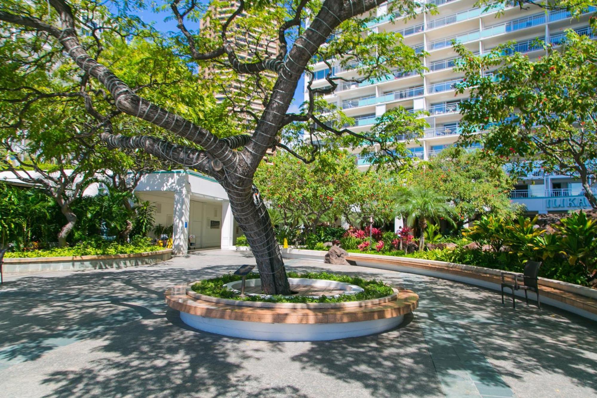 Ilikai Tower 1340 Lagoon View 1Br 호놀룰루 외부 사진
